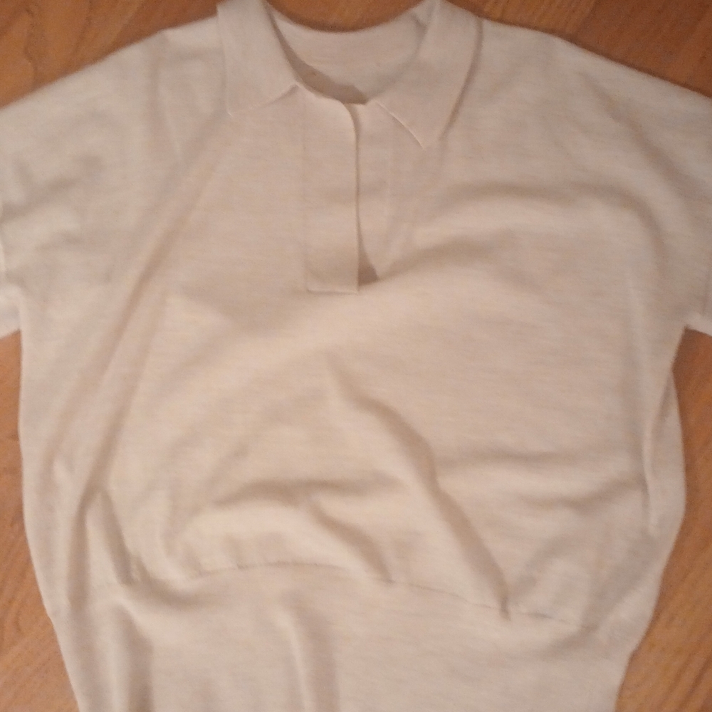 Camel colored Madewell shirt. V neck style cashmere feel
